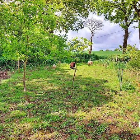 بيت للعطل Yourte De Charme Pres De La Nature, 27m², 2 Adultes + Enfants, Cuisine Et Espaces Communs Partages - Fr-1-600-219 Montenay